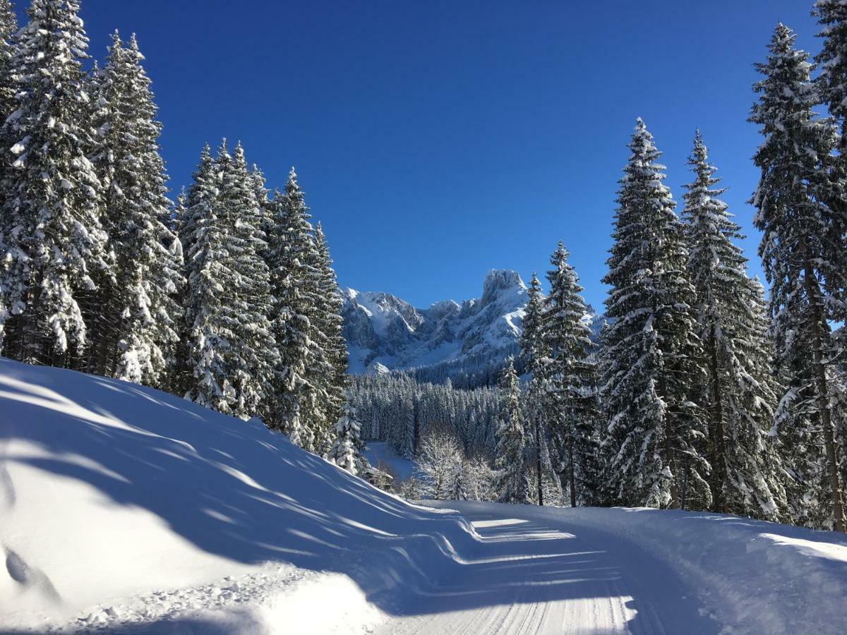 Apartment Kraemerhaus Annaberg, Dachstein West 외부 사진
